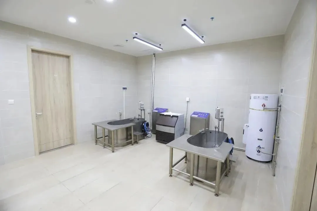 如何通过力量训练改善篮球运动员的速度和敏捷性?_0